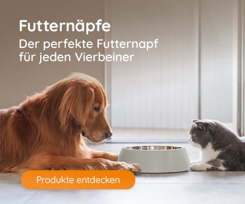 Entdecke Futternäpfe für Hunde und Katzen!