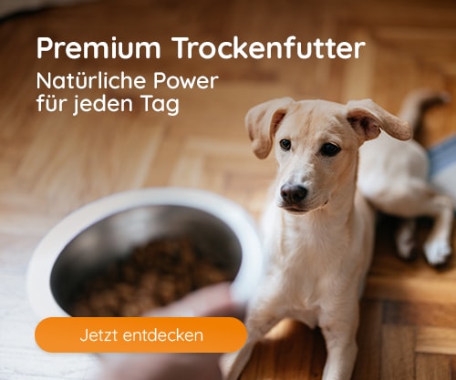 Premium Trockenfutter für deinen Hund!