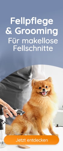 Alles für die professionelle Fellpflege!